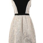 Yoana Baraschi  Blue Ivory Jacquard Fit & Flare Textured Cocktail Dress Size 2 Photo 0