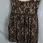 Robert Rodriguez Neiman Marcus x Target: Black Lace Strapless Dress Photo 14