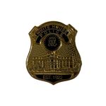 White House Police Pin in Gold Photo 0