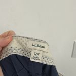 LL Bean Comfort Trail Cargo Pants Blue Outdoor Hiking Gorpcore Womens 22W Photo 4