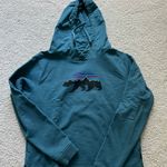 Patagonia Bear Mountain Sweatshirt Photo 0