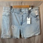 NWT Wallflower Fearless Curvy High Rise Light Blue Denim Shorts Size 24 Photo 0