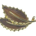 Sarah Coventry Vintage Pin Brooch Leaf Shape Wood Grain Appearance Inlay Photo 0