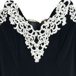 Vintage Cachet Barry Protas Black Velvet & Lace Long Formal Gown Dress Size 9/10 Photo 3