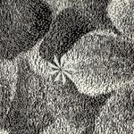 Athleta  Elation‎ Textured Tight Leggings Floral Print High Rise XXS Photo 9