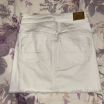 American Eagle Outfitters Skirt Photo 1