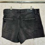 Pistola  Black Distressed Denim Shorts (High Rise) Size 30 Photo 3