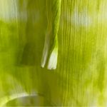 Michael Kors Sheer Swim‎ Cover up Tunic Womens L/XL Green Tie Dye Elastic Waist Size L Photo 2