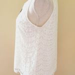 Stitch Fix  fun 2 fun lace blouse size small Photo 3