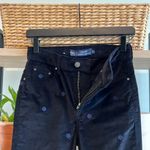 Boden USA Boden High-Rise Velvet Super Skinny Dot Embroidered Pant, 4 Photo 6