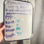 J. Crew Jamie Snake Skin Print Pull On Ankle Pants NWT size 8 White Photo 2