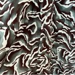 Whistles Asos Watercolour Zebra Print Dress Button Front V Photo 1