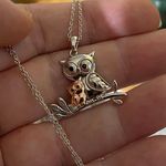 Momma Owl and Baby Owl Sterling Rose Gold Necklace Silver Photo 2