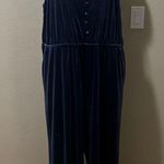 Popsugar  blue velvet spandex strap plus size jumpsuit Photo 3