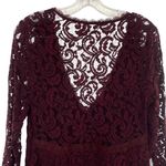 Kimchi Blue Dress Babydoll Lace Maroon Vamp Whimsigoth Photo 14