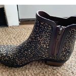 Lucky Brand  LK-BASELH2O Sesame Persian Rubber Rain Boots 8M Photo 2