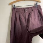 Madewell  Harlow Wide Leg Pleated Pants Chocolate Raisin Tencel Linen Sz 10 NWT Photo 5