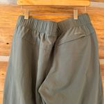 Eddie Bauer Traveler Ankle Pants Photo 4
