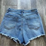 BLANK NYC The Barrow Vintage High Rise Short Button Fly Distressed Denim Size 28 Photo 5