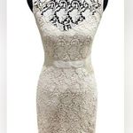 Monique Lhuillier Elegant Lace Dress in Ivory Photo 0