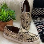 Steve Madden • safary python snakeskin metallic sneakers Photo 12