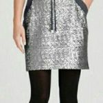 Ann Taylor NWT  skirt Photo 0