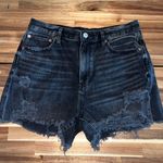 American Eagle  90’s Boyfriend Shorts Size 10 Photo 0