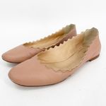 Chloé CHLOE Lauren Pale Pink Scalloped Flats FLAWED Photo 12