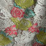 Anthropologie | Hutch gardenia lace crochet overlay ruffle skirt Photo 4