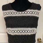 Cato Black/white stripe lace dress. lined Size 14 Photo 3