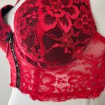 Daisy Fuentes Red Lace Bustier Photo 4