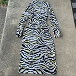 ZARA Zebra Stripe Button Front Midi Dress Photo 5