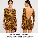 Leopard Print Long Sleeve Dress Brown Photo 2