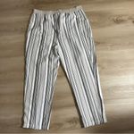 Chico's "Knit" Earth Tones Striped Pull On Pants Size 1.5 Casual Stretch Capri Photo 11
