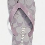 Coach  Lavender Logo Flip Flops size 78 Photo 0