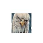 The Mountain Draft Listing Photo 1