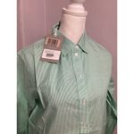 Everlane  The Silky Cotton Relaxed Long Sleeve Button Up Shirt Striped Mint 0Flaw Photo 1