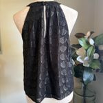 ASTR The Label black sheer lined sleeveless shimmer halter top shirt boho y2k Photo 1