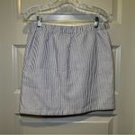 MarleyLilly  Blue/White Striped Button Snap Front Skirt size S Photo 5