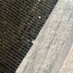 Tiger Mist black paris top Photo 3