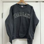 National Geographic Bear Lake vintage grey slate crewneck sweatshirt size XL Photo 0