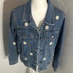 Veveret Daisy Photo 4