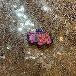 Croc charm a bohemian cat Photo 0