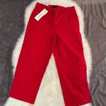 Burberry  Golf red  Dress Pants  Photo 0
