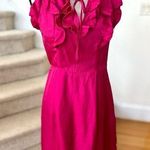 Elizabeth McKay Jewel Tone Pink Silk Ruffle Cocktail Dress Size 4 Photo 0