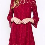 Sugar Lips  Wine Floral Lace Dress Small Photo 6