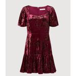 Rachel Parcell [] Maroon Floral Velvet Puff Sleeve Ruffle Mini Dress NWT Size 10 Photo 1