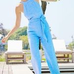 J. McLaughlin  Adelaide Striped Linen Jumpsuit Blue White 10 Photo 0