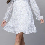 Hollister Babydoll Dress S Cottage Coquette Girly Sheer Long Puff Sleeve Floral Photo 0