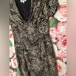 Kasper Dress in size 14 Photo 8